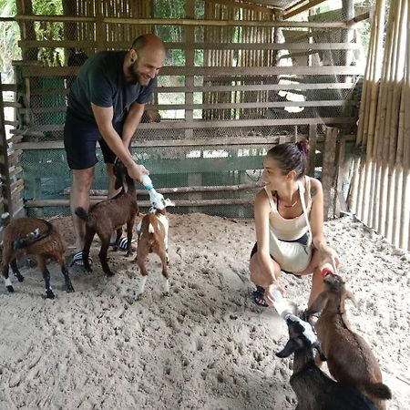 Yaoisland Resort And Farm Ko Yao Buitenkant foto