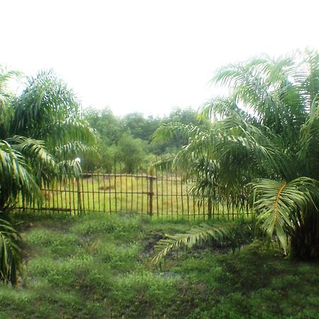Yaoisland Resort And Farm Ko Yao Buitenkant foto