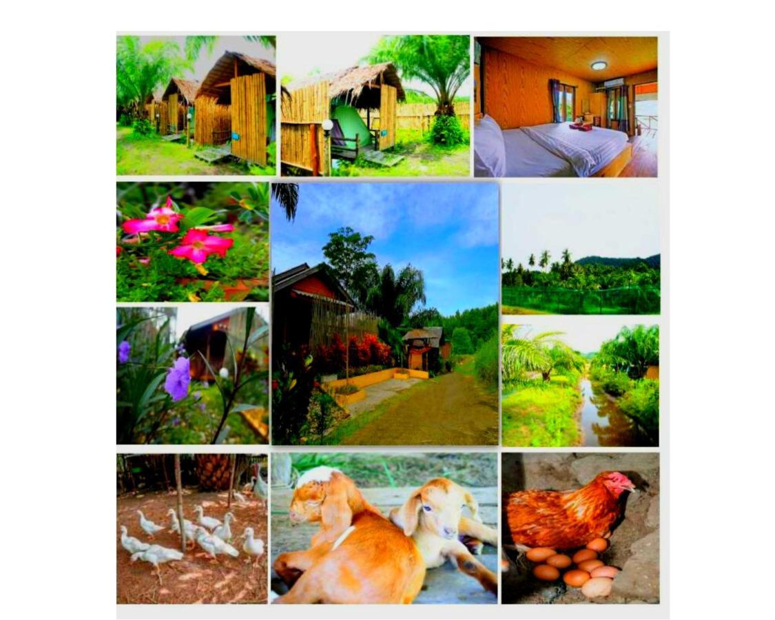 Yaoisland Resort And Farm Ko Yao Buitenkant foto