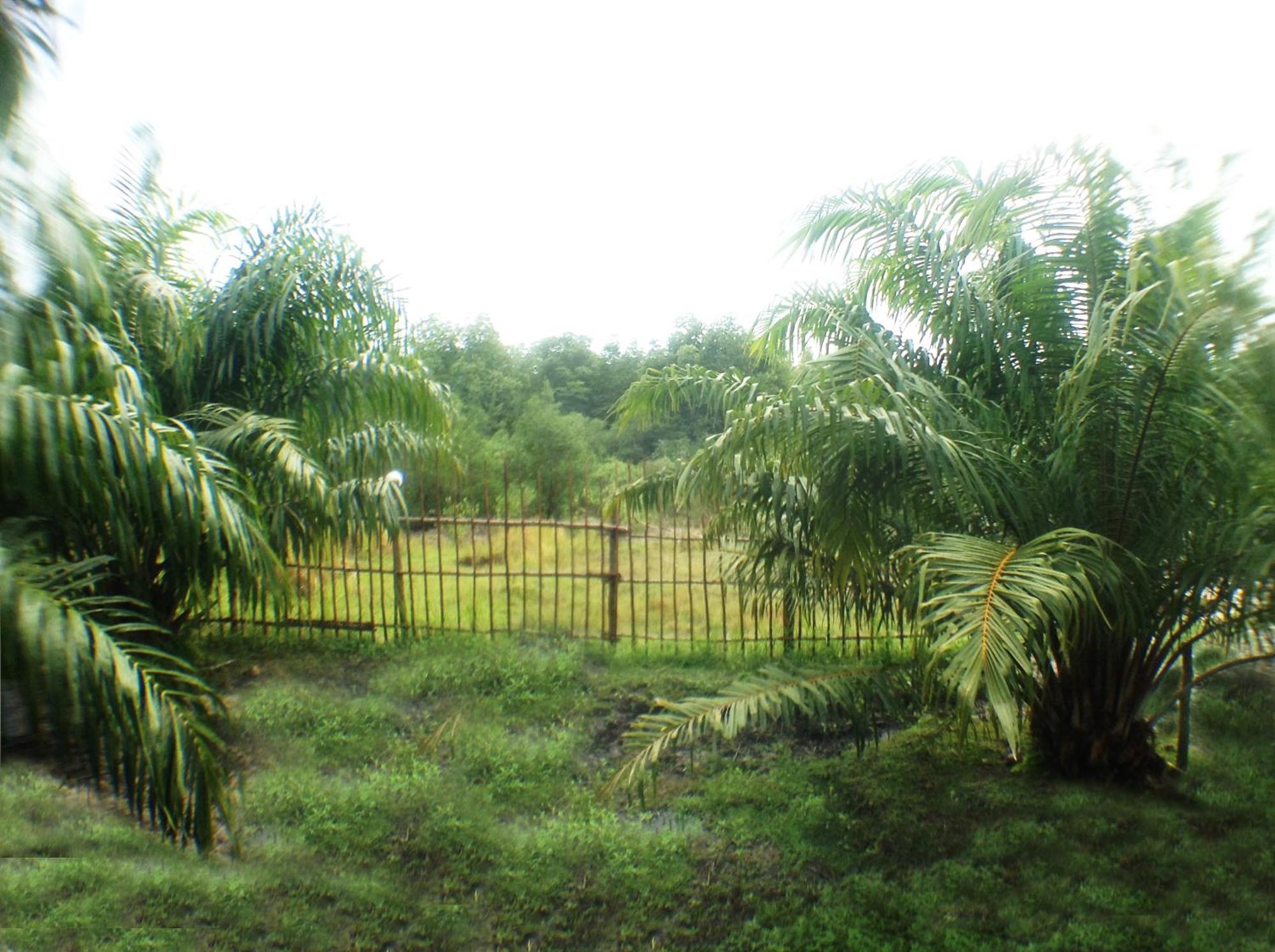 Yaoisland Resort And Farm Ko Yao Buitenkant foto