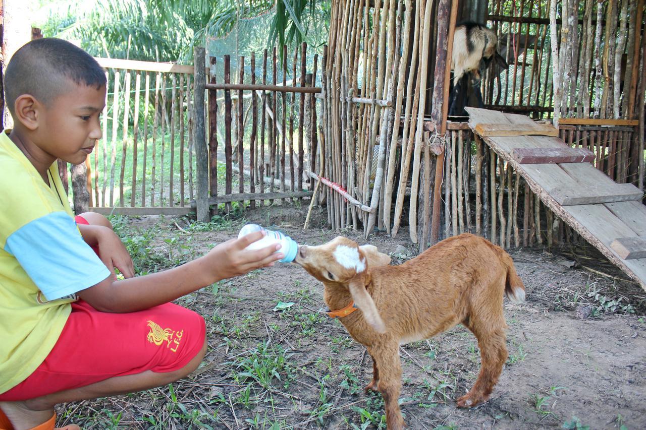 Yaoisland Resort And Farm Ko Yao Buitenkant foto