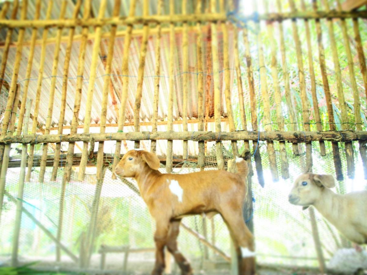 Yaoisland Resort And Farm Ko Yao Buitenkant foto